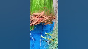 fishing gill net available at high quality ( only 300 rs free delivery+🚚 cash on delivery 9820253774