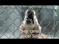 Dog Kennel Quieted by AlphaSorb Acoustical Panels Dog Kennel Quieted by AlphaSorb Acoustical Panels