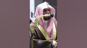 ولعذاب الآخرة أخزى وهم لا ينصرون ~ تلاوة بتحبير خاشع للشيخ ياسر الدوسري - التلاوة كاملة بالوصف