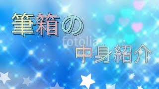 筆箱の中身紹介☆。.:＊・゜