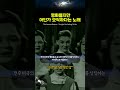평화롭지만 어딘가 오싹하다는 노래