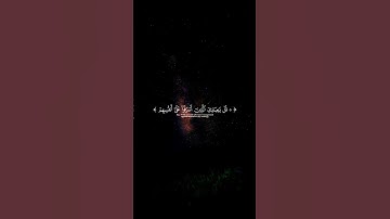 اكتب شيء تؤجر عليه 🩶 || تلاوة خاشعة للقارئ ياسر الدوسري #quran #ياسر_الدوسري