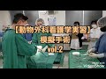 動物外科看護学実習 模擬手術 緊張 手術助手経験 動物専門学校 トリマー 動物看護師 アクアリウム 動物のお仕事 動物外科看護学実習 模擬手術 緊張 手術助手経験 動物専門学校 トリマー 動物看護師 アクアリウム 動物のお仕事