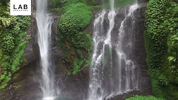 🌍 Amazon: The Heart of Mother Earth 🌿 | The Vital Role of the World