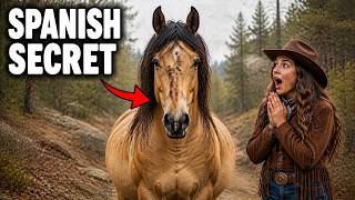 The Kiger Mustang Shouldn't Exist | Its DNA Says It Came From Spanish Shipwrecks