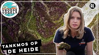 Hoe kan je tankmos terugdringen? | TV | Vroege Vogels