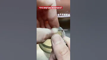 Что внутри жемчуга? По легенде там должна быть песчинка, но так ли это?