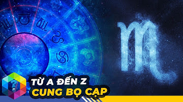 Giãi Mã BỌ CẠP - Nguy Hiểm Và Thông Minh Nhất 12 Cung Hoàng Đạo [Top 1 Khám Phá]