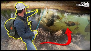 Spring Bank Fishing Guide | How to Find and Catch Panfish