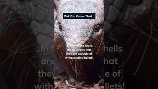 Famous So cute though, right? Profile