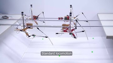 Reconfigurable Klann platform - Testing standard locomotion trajectory
