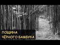 Страшная История - Лощина Чёрного Бамбука