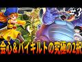 【DQ4】『会心の一撃に賭けるか＆バイキルトに賭けるか』究極の2択の完全初見殺し・バルザック戦の自然回復の脅威！『超バランス型最強パーティ』とネットで噂の２章の３人パーティで全クリ編！３章/ドラクエ