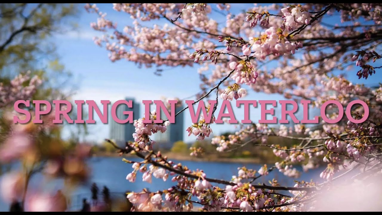Waterloo Alabama Spring Spring in Waterloo - YouTube