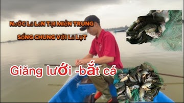 Mùa nước lên thả lưới bắt cá - sống chung với lũ lụt P2