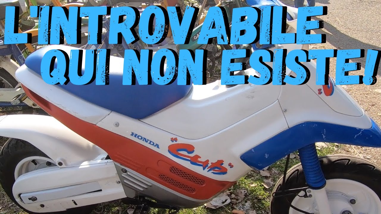 НЕ МОЖЕТЕ НАЙТИ? ПРИЕЗЖАЙТЕ В НОВОГРО! ВЫСТАВКА ПО ОБМЕНУ