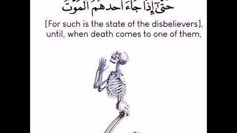 تلاوة خاشعة تريح القلب #سورة_المؤمنون القارئ#اسلام_صبحي  حالات واتساب مقاطع دينية قصيرة 🤲🏻❤️❤