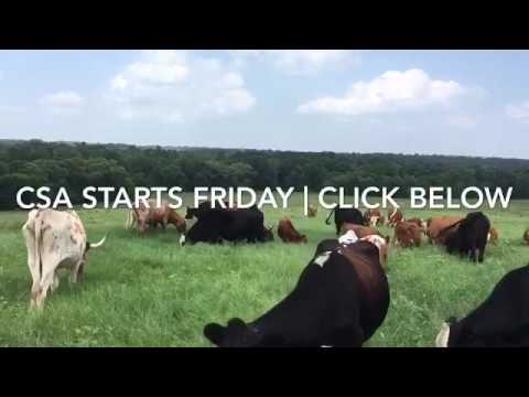 East Texas Farming Community