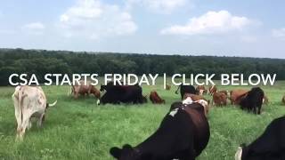 Community Supported Agriculture Dallas TX and surrounding