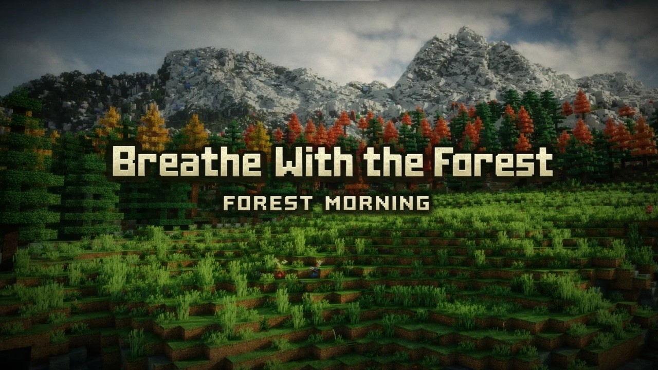 Just Breathe… Let the Forest Wake You Gently 🌿 Birdsong & Forest Ambience (No Talking)