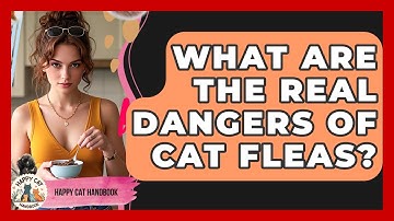 What Are The Real Dangers Of Cat Fleas? - Happy Cat Handbook