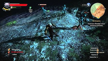 The Witcher III: Wild Hunt. Quest: Black pearl. Bug