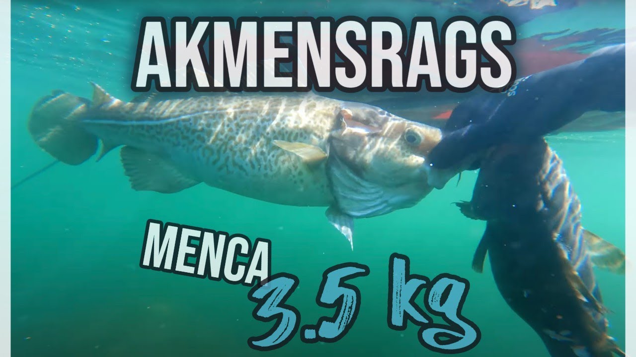 EP21 | ⚓️ Kuģa vraki Akmensragā un milzu menca