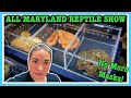 ALL MARYLAND REPTILE SHOW (June 2021) Full Capacity and Tons of Animals! Reptile Expo | Ball Pythons