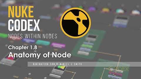 Nuke Codex: Anatomy of the Node