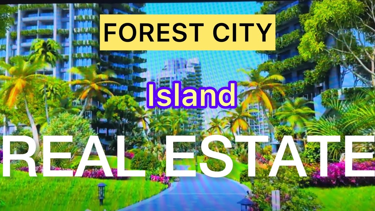 Недвижимость в Форест-Сити, Малайзия. Экскурсии и цены.