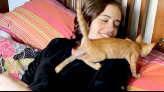 Heavy Petting What Kalki Koechlin, Vivek Oberoi And Mandira Bedi Miss The Most About Their Pets