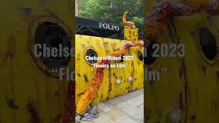 Chelsea in Bloom 2023 | Londoner #shortsvideo #londoner
