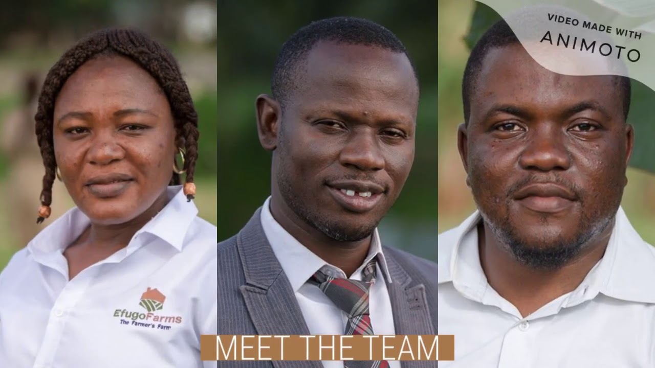 best fish farm abuja Efugo Farms YouTube