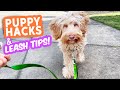 Puppy & Leash Tips that TRULY WORK! 🐶 Nobody talks about these and they're gamechangers!!!