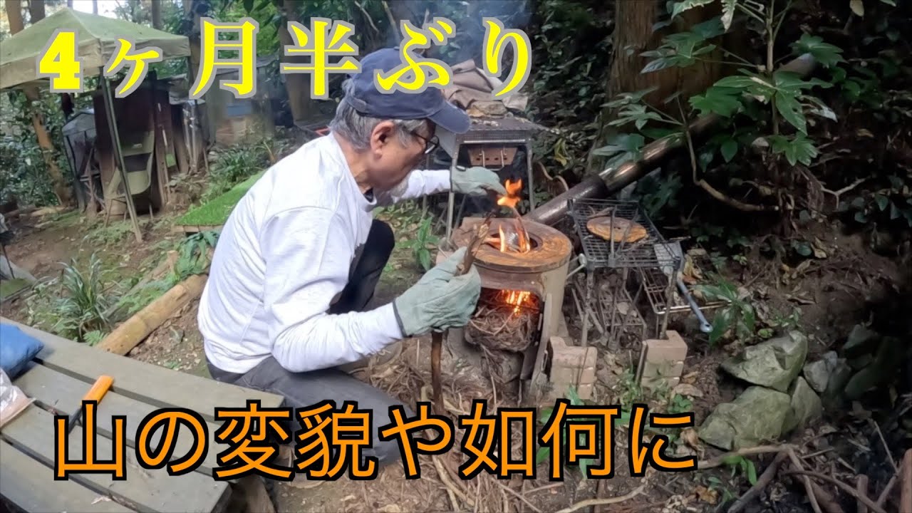 【4ヶ月半ぶり】久々の山訪問！その変貌や如何に、、、