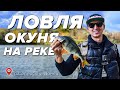 Ловля окуня на реке вприглядку ◈ ОСЕННИЙ БОНУС!