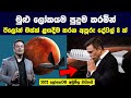 ඊලෝන් මස්ක් අනාගතයේ කරන්න හිතාගෙන ඉන්න අපූරු දේවල් 08 ක් | Remarkable Things Elon Musk Is Working On