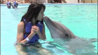 Kissing a dolphin 😍