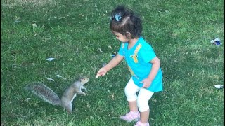 Cute Twins Baby Video || Babies Playing With SQUIRRELS 🐿 || Cutest Video you ever seen by Diya’s and Riya’s World 4,696 views 2 years ago 1 minute, 57 seconds