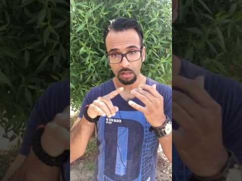 انت ليش نفسيه مع محمود البلوشي التصلب العصبي المتعدد