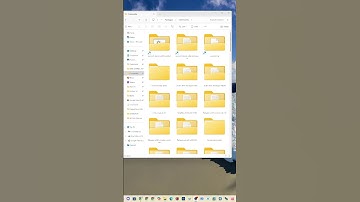 MSFS 2020/2024 – Lock Your Settings Forever (Fix Reset After Updates!) #shorts