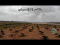 متنفس أشجار اللبان بـ عدونب 
