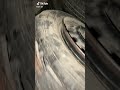 التيما اكسبلور
