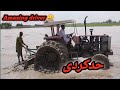 Amazing trictor darver