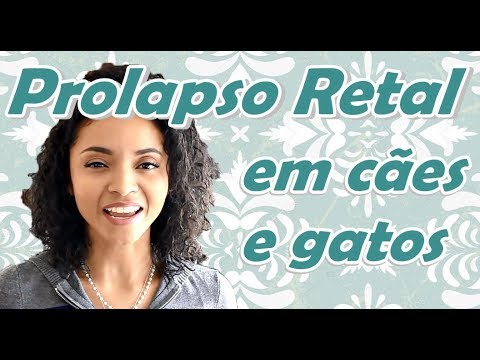 Vídeo: Estreitamento Da Abertura Anal Ou Retal Em Cães