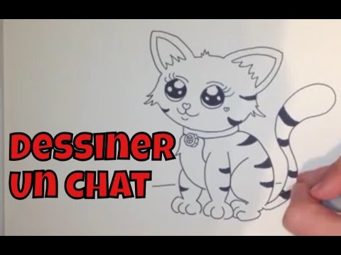 Comment Dessiner Un Chat Facile étape Par étape