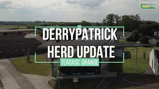 Michael McManus  Derrypatrick Herd Update