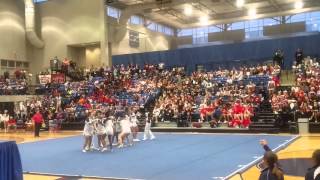 2015 Coed Sectionals - South Gwinnett