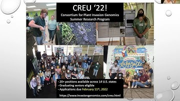 Advice and Guidelines for Applying for REU Programs by Dr. Beth Stauffer 1/27/2022