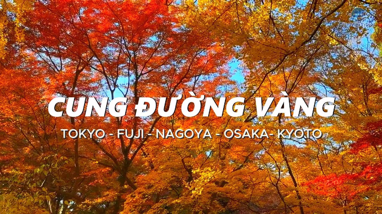 TOUR NHẬT BẢN CUNG ĐƯỜNG VÀNG - UNIVIET TRAVEL